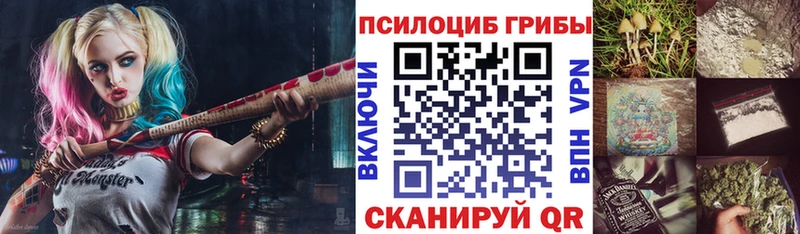 блэк спрут зеркало  Судак  Псилоцибиновые грибы Psilocybine cubensis 